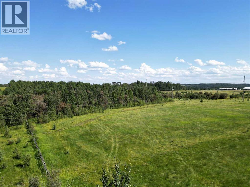 18032 TOWNSHIP ROAD 532A - Photo 6