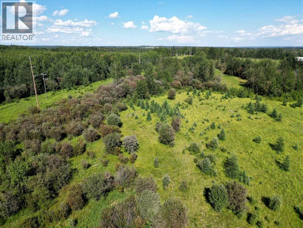 18032 TOWNSHIP ROAD 532A - Photo 5