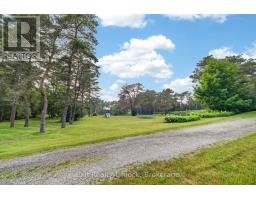 133 Farmers Road, Kawartha Lakes, ON L0A1K0 Photo 44