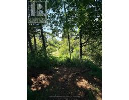 10 Yorkton Boulevard, Markham, ON L6C0J9 Photo 42