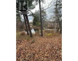 10 Yorkton Boulevard, Markham, ON L6C0J9 Photo 41