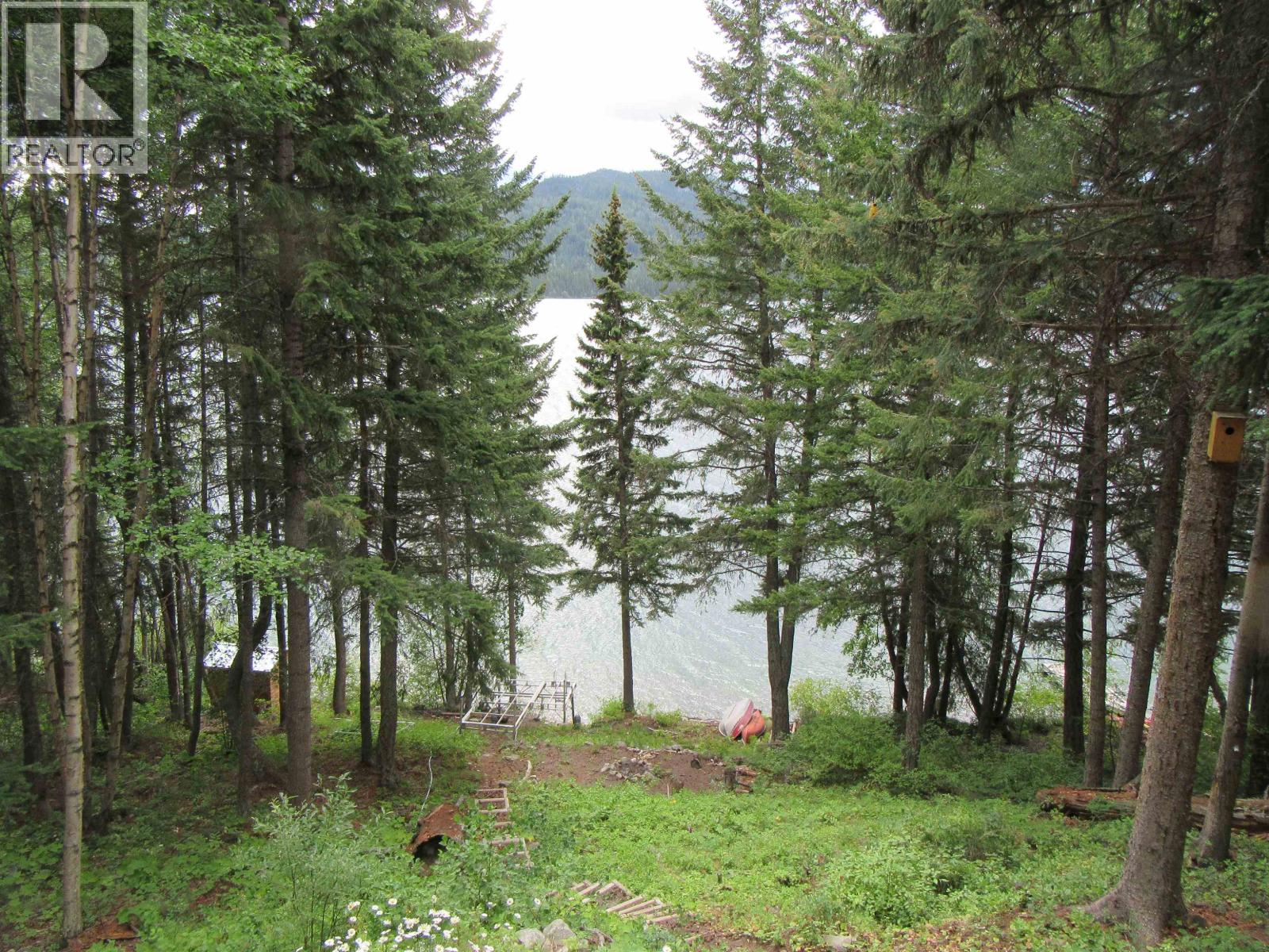 4336 BIRCH LAKE DUMP ROAD - 6