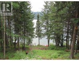 Other - 4336 Birch Lake Dump Road, Bridge Lake, BC V0K1E0 Photo 6