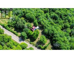 3332 Matawatchan Road, Greater Madawaska, ON K0J2R0 Photo 40