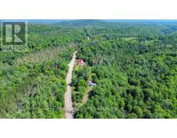 3332 Matawatchan Road, Greater Madawaska, ON K0J2R0 Photo 41