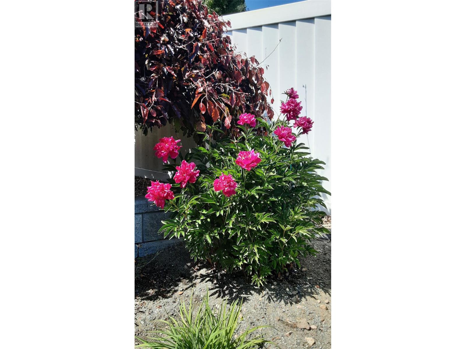 1060 PINE SPRINGS Road - 43