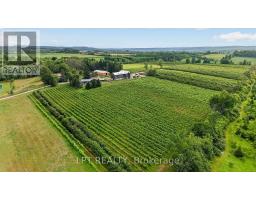416476 10th Line S, Blue Mountains, ON N0H1J0 Photo 42
