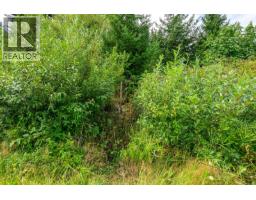Lot 6 Eagles Dr, Courtenay, BC V9J1V4 Photo 17