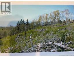 6 Roys Lane, Pennfield, NB E5H1R6 Photo 10