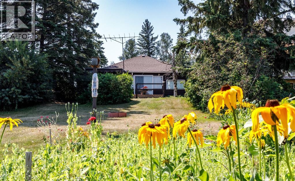48, 40422 Range Road 10 - 29