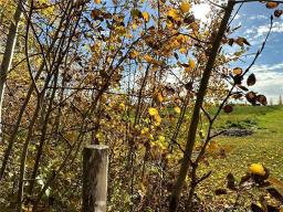 129 Gundy Lake Drive, Rossburn, MB R0J1V0 Photo 12