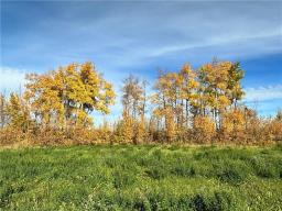 129 Gundy Lake Drive, Rossburn, MB R0J1V0 Photo 16