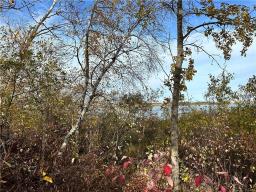 129 Gundy Lake Drive, Rossburn, MB R0J1V0 Photo 19