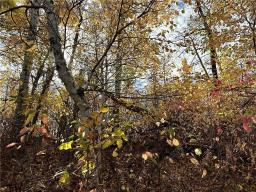 129 Gundy Lake Drive, Rossburn, MB R0J1V0 Photo 7