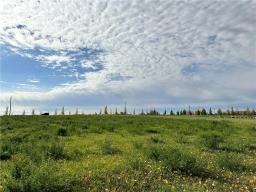 129 Gundy Lake Drive, Rossburn, MB R0J1V0 Photo 8