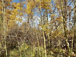 129 Gundy Lake Drive, Rossburn, MB R0J1V0 Photo 10