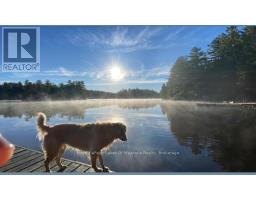 1029 Sprunt Lane, Gravenhurst), ON P1P0A3 Photo 25