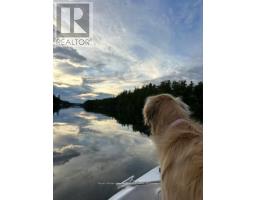 1029 Sprunt Lane, Gravenhurst), ON P1P0A3 Photo 26