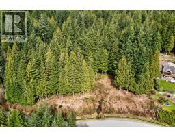 27641 128 Avenue, Maple Ridge, BC V2W1N5 Photo 8