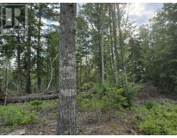 Lot 1 Highway 101, Ellershouse, NS B0N2T0 Photo 18