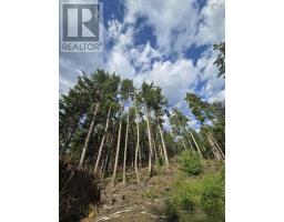 Lot 1 Highway 101, Ellershouse, NS B0N2T0 Photo 21