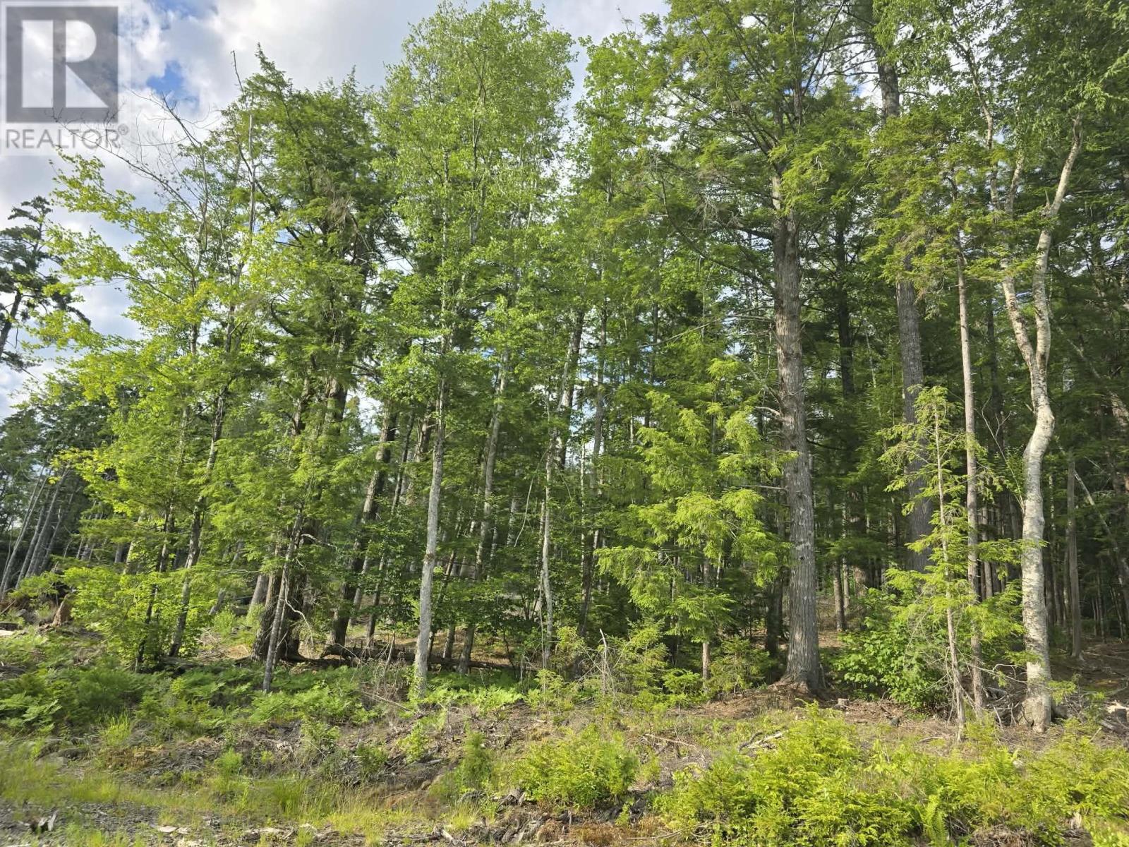 Property 19 of 29 of Lot 1 Highway 101