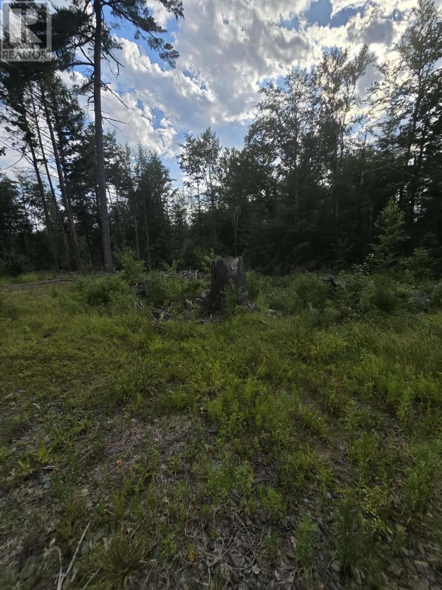 Property 25 of 29 of Lot 1 Highway 101