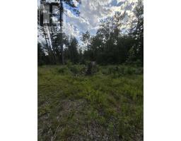 Lot 1 Highway 101, Ellershouse, NS B0N2T0 Photo 25