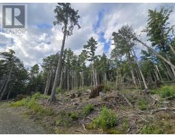 Lot 1 Highway 101, Ellershouse, NS B0N2T0 Photo 20