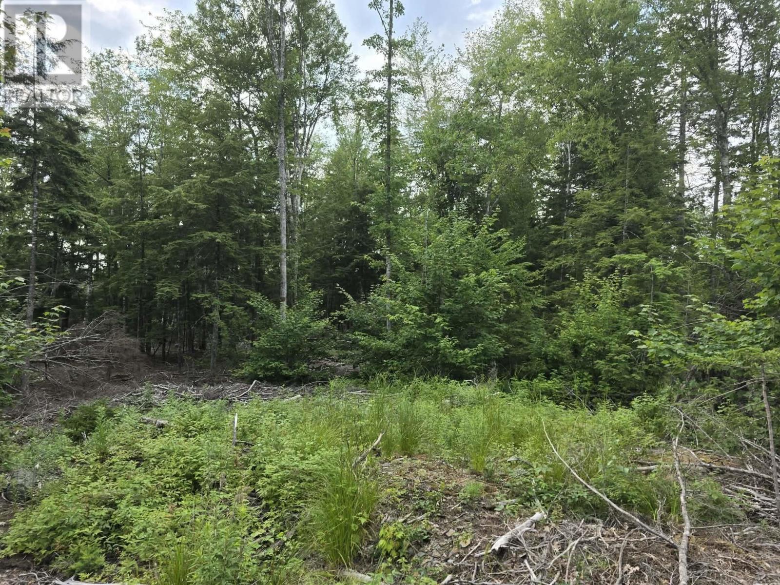 Property 29 of 29 of Lot 1 Highway 101