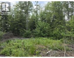 Lot 1 Highway 101, Ellershouse, NS B0N2T0 Photo 29