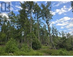 Lot 1 Highway 101, Ellershouse, NS B0N2T0 Photo 26