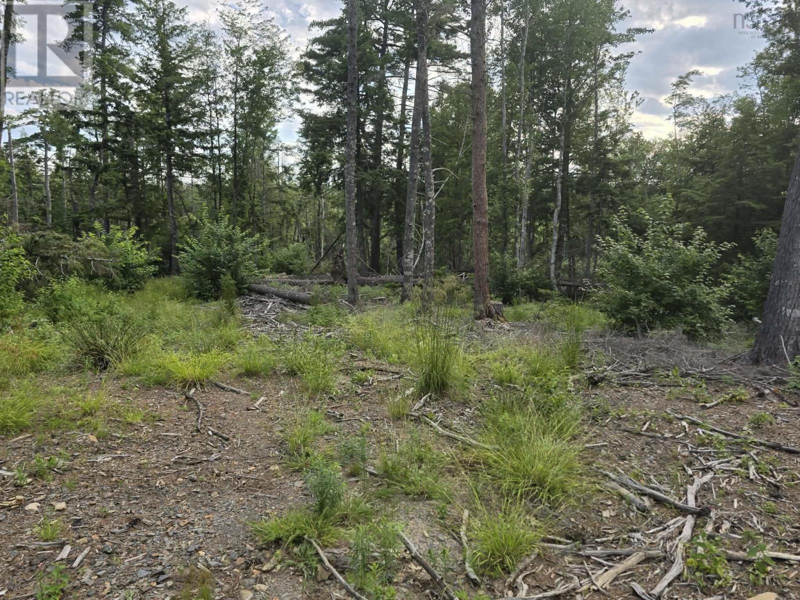 Property 28 of 29 of Lot 1 Highway 101