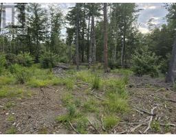 Lot 1 Highway 101, Ellershouse, NS B0N2T0 Photo 28