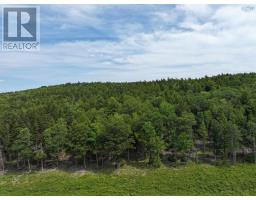 Lot 1 Highway 101, Ellershouse, NS B0N2T0 Photo 7