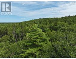 Lot 1 Highway 101, Ellershouse, NS B0N2T0 Photo 9