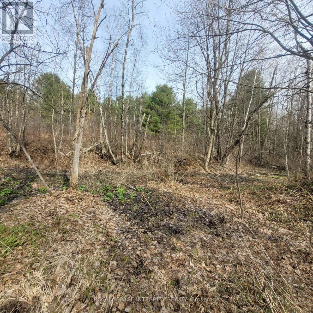 53 BEAVER LANE - Image 30