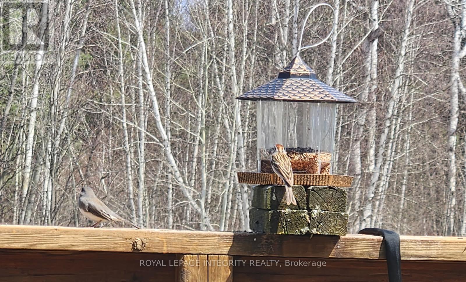53 BEAVER LANE - Image 32