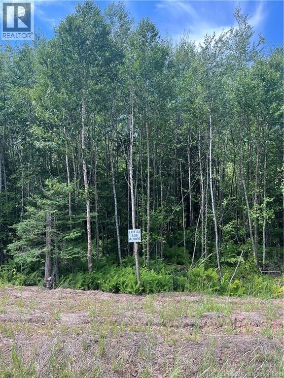 lot Cedarwood Drive, Lakeside — photo 2
