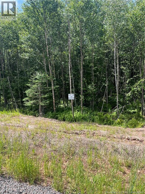 lot Cedarwood Drive, Lakeside — photo 3