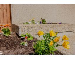 #202 8340 Jasper Av Nw, Edmonton, AB T5H4C6 Photo 43