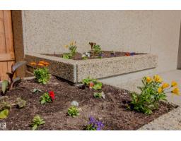 #202 8340 Jasper Av Nw, Edmonton, AB T5H4C6 Photo 44