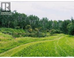 Smandych Acreage, Cote Rm No  271, SK S0A1S0 Photo 60