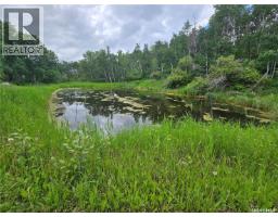 Smandych Acreage, Cote Rm No  271, SK S0A1S0 Photo 64