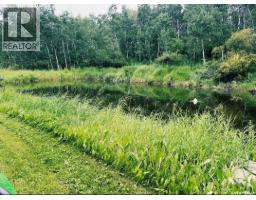 Smandych Acreage, Cote Rm No  271, SK S0A1S0 Photo 63