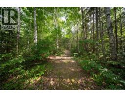 230 Collette Road, Collette, NB E4Y1J5 Photo 28