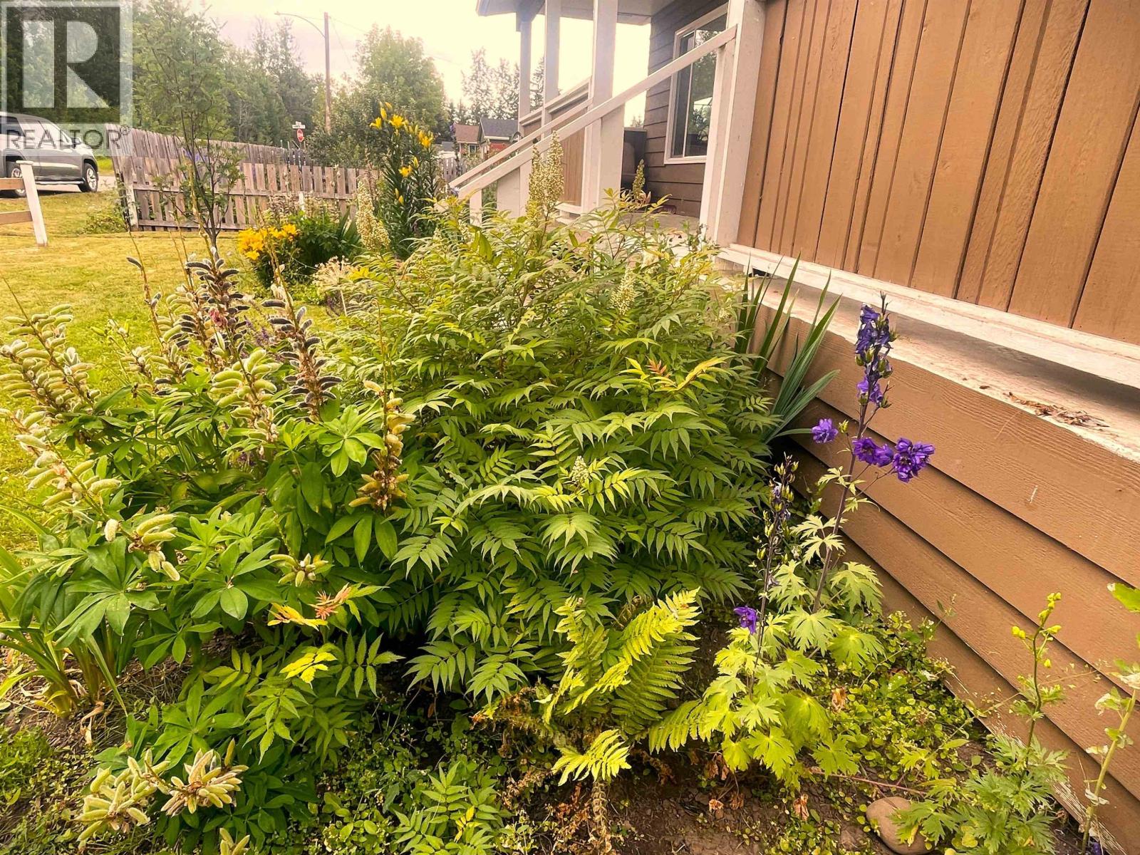3615 ALFRED Avenue, Smithers
