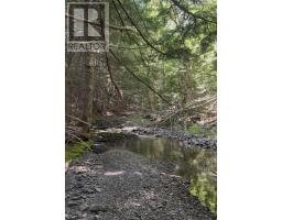 2 Macpherson Road, Macphersons Mills, NS B2H5C8 Photo 26