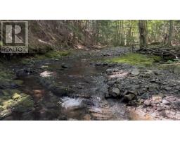 2 Macpherson Road, Macphersons Mills, NS B2H5C8 Photo 27