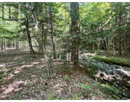 2 Macpherson Road, Macphersons Mills, NS B2H5C8 Photo 38